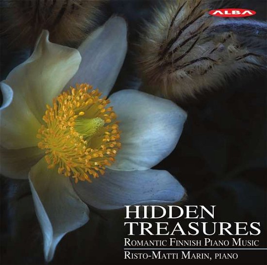 Cover for Richard Faltin · Hidden Treasures: Romantic Finnish Piano Music (CD) (2019)