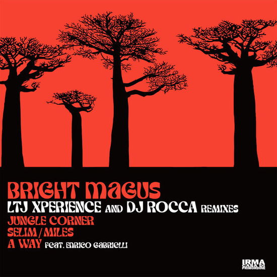 Cover for Bright Magus · Jungle Corner / Selim Miles - A Way (Ltj Xperience &amp; Dj Rocca Rmx) (LP) (2024)