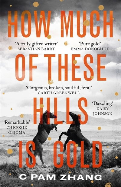 Cover for C Pam Zhang · How Much of These Hills is Gold: Longlisted for the Booker Prize 2020 (Hardcover Book) (2020)