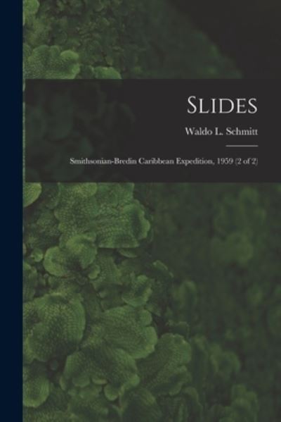 Cover for Waldo L (Waldo Lasalle) 18 Schmitt · Slides (Paperback Book) (2021)