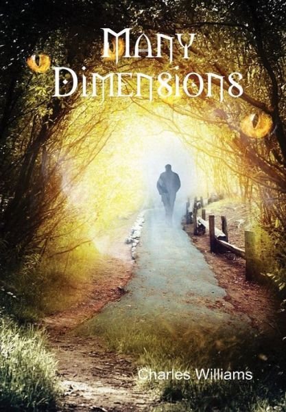 Cover for Charles Williams · Many Dimensions (Hardcover Book) (2015)