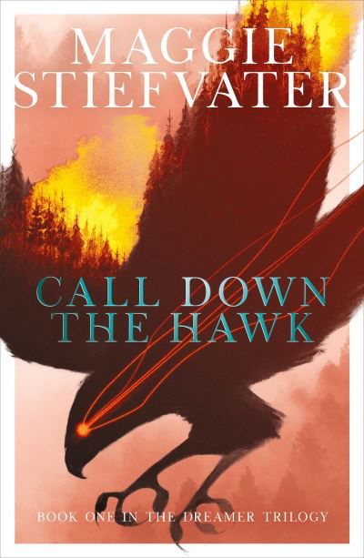 Cover for Maggie Stiefvater · Call Down the Hawk: The Dreamer Trilogy #1 - The Dreamer Trilogy (Paperback Book) (2019)