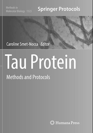 Cover for Tau Protein (Book) [Softcover reprint of the original 1st ed. 2017 edition] (2018)