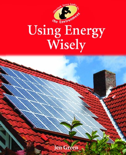 Cover for Jen Green · Using Energy Wisely (Sherlock Bones Looks at the Environment) (Hardcover Book) (2011)