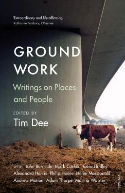 Cover for Tim Dee · Ground Work: Writings on People and Places (Taschenbuch) (2019)