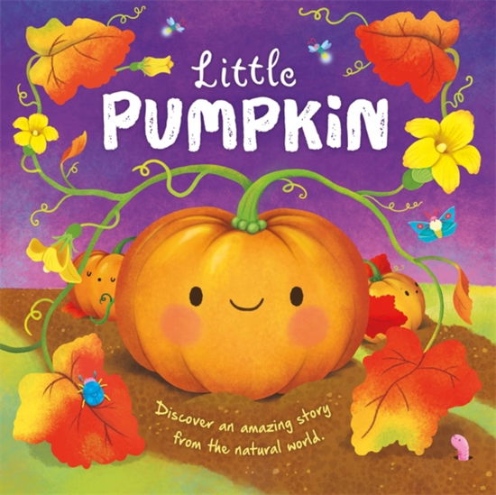 Autumn Publishing · Little Pumpkin - An illustrated story about the life-cycle of a pumpkin (Hardcover Book) (2024)