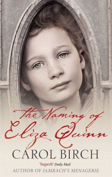 Cover for Carol Birch · The Naming Of Eliza Quinn (Paperback Book) (2006)