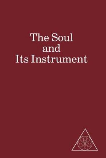 Cover for Lucille Cedercrans · The Soul and Its Instrument (Paperback Book) (2013)