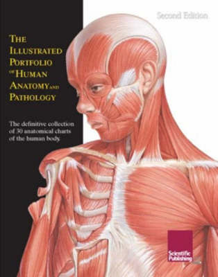 Cover for Scientific Publishing · Illustrated Portfolio of Human Anatomy &amp; Pathology, 2nd Edition: The Definitive Collection of 30 Anatomical Charts of the Human Body (Spiral Book) [2 Revised edition] (2006)