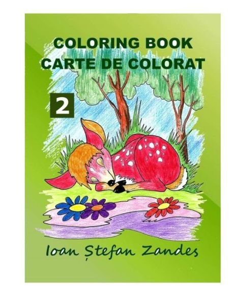 Coloring Book 2 - Ioan Stefan Zandes - Livros - Createspace Independent Publishing Platf - 9781983412462 - 10 de janeiro de 2018