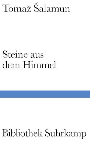 Cover for Tomaz Salamun · Steine aus dem Himmel (Buch) (2023)