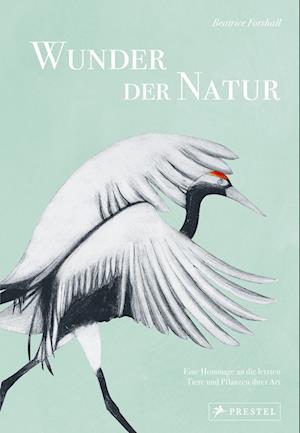 Cover for Beatrice Forshall · Wunder der Natur (Book) (2023)