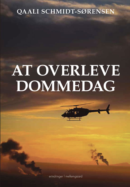 Cover for Qaali Schmidt-Sørensen · At overleve dommedag (Hæftet bog) [1. udgave] (2025)