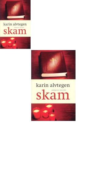 Cover for Karin Alvtegen · Skam (Sewn Spine Book) [1. Painos] (2005)