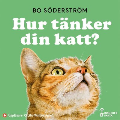 Cover for Bo Söderström · Hur tänker din katt? (Audiobook (MP3)) (2021)