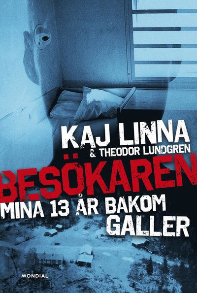 Cover for Theodor Lundgren · Besökaren : mina 13 år bakom galler (Bound Book) (2018)