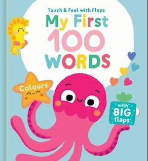 Colours - My First 100 Words Touch & Feel (Board book) (2022)