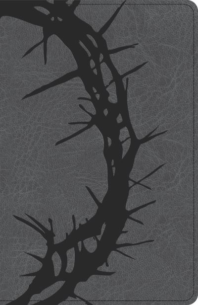 NASB Large Print Personal Size Reference Bible, Charcoal LeatherTouch - Holman Bible Publishers - Books - B&H Publishing Group - 9798384509462 - September 1, 2024