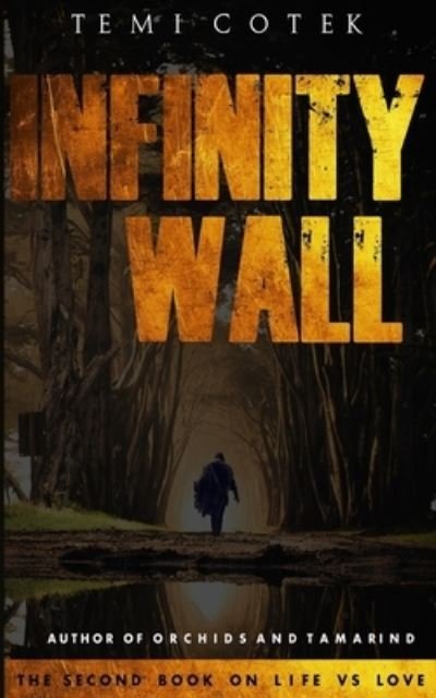 Cover for Temi Cotek · Infinity Wall: The Second Book on Life vs Love (Taschenbuch) (2020)