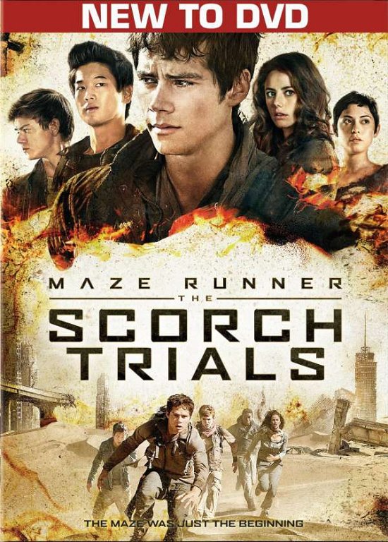 Cover for Maze Runner: the Scorch Trials (DVD) (2015)