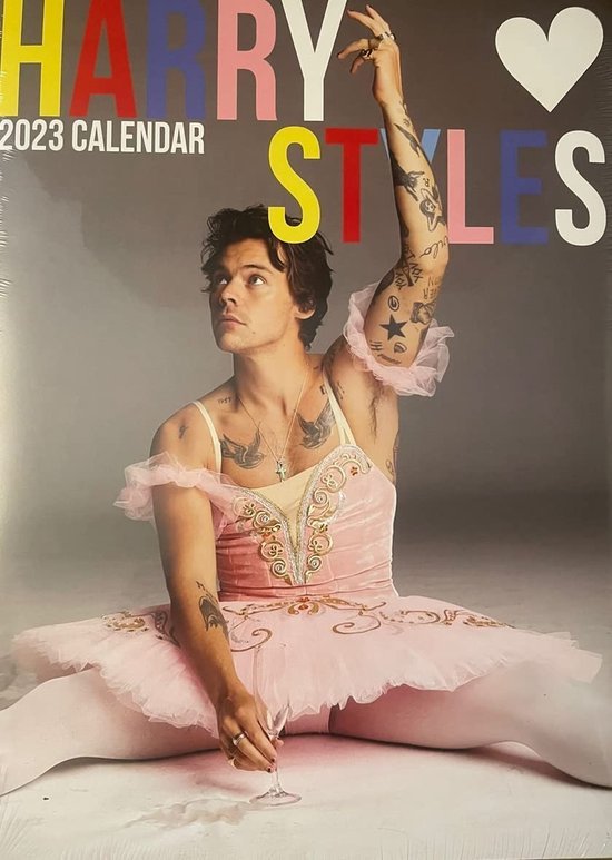 Cover for Harry Styles · Harry Styles 2023 Unofficial Calendar (Calendars) (MERCH)