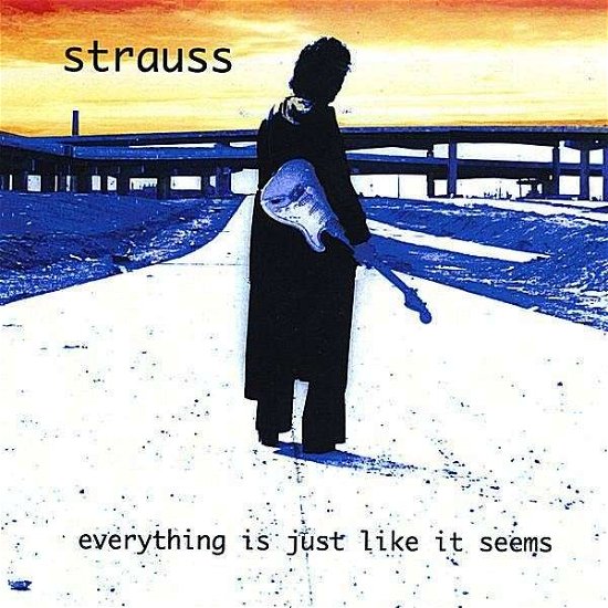 Everything is Just Like It Seems - Strauss - Music - bohemianhippy music, llc - 0634479866463 - August 12, 2008