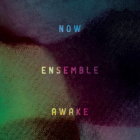 Cover for Greenstein / Friar / Mazzoli / Dancigers / Now Ens · Awake (CD) (2011)