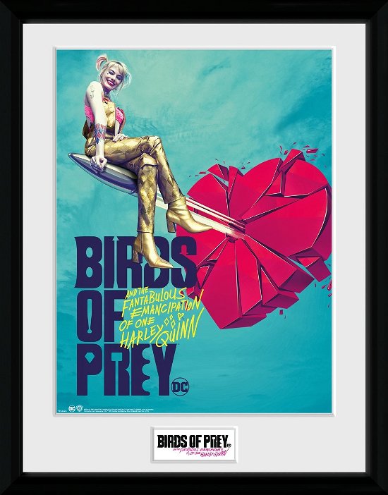 Cover for Birds Of Prey · One Sheet Bullet (Stampa In Cornice 30x40cm) (MERCH)