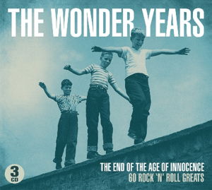 Cover for Various Artists · THE WONDER YEARS-Ben E.King,Marvelettes,Poni Tails,Shirelles,Bobby Vee (CD) (2016)