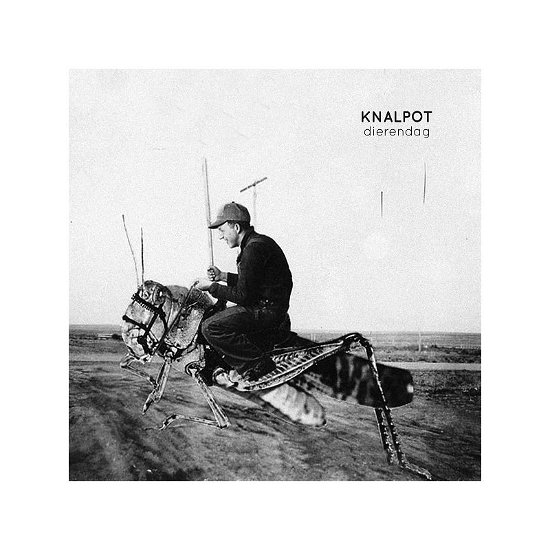 Cover for Knalpot · Dierendag (CD) (2018)