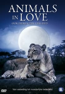 Cover for Animals In Love (DVD) (2013)