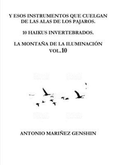 Cover for Antonio Mariñez Dominguez · Y Esos Instrumentos Que Cuelgan De Las Alas De Los Pajaros (Paperback Book) (2019)