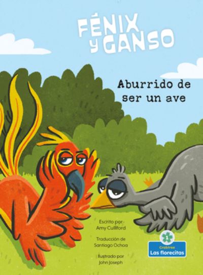 Cover for Amy Culliford · Aburrido de Ser Un Ave (Hardcover Book) (2022)