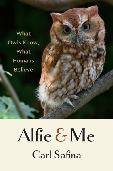 Cover for Carl Safina · Alfie and Me: What Owls Know, What Humans Believe (Hardcover Book) (2023)