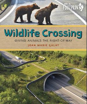 Cover for Joan Marie Galat · Wildlife Crossing (Book) (2024)