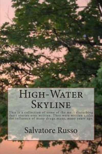 Cover for Spr Salvatore Peter Russo · High-water Skyline: This is a Collection of Some of the Most Disturbing Short Stories Ever Written. They Are over Analytical, Bloody, Perv (Paperback Bog) (2014)