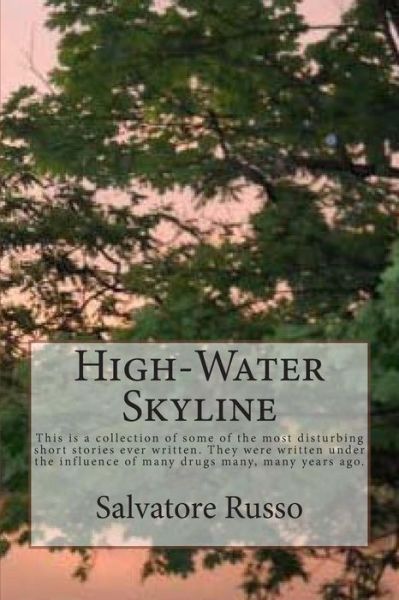 Cover for Spr Salvatore Peter Russo · High-water Skyline: This is a Collection of Some of the Most Disturbing Short Stories Ever Written. They Are over Analytical, Bloody, Perv (Paperback Bog) (2014)