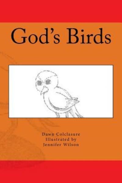 Cover for Dawn Colclasure · God's Birds (Paperback Bog) (2016)