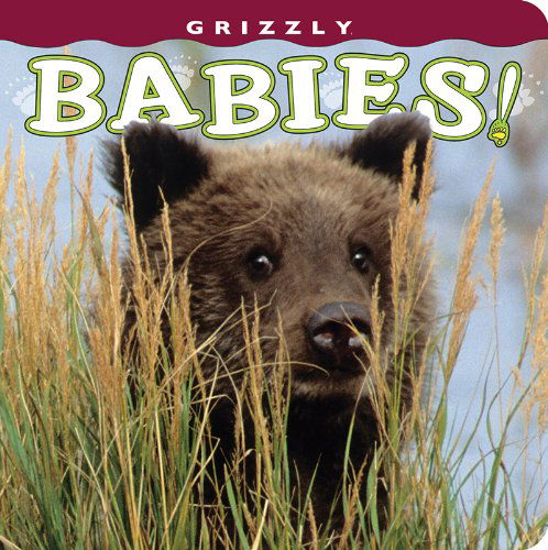 Cover for Photography by Henry H. Holdsworth · Grizzly Babies! (Babies! (Farcountry Press)) (Board book) [First edition] (2013)