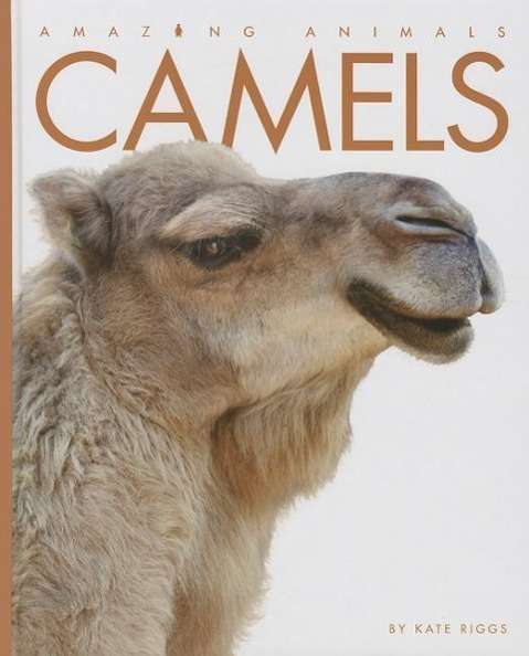 Cover for Kate Riggs · Camels (Amazing Animals (Creative Education Hardcover)) (Hardcover Book) (2014)