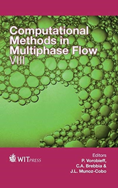 Cover for P. Vorobieff · Computational Methods in Multiphase Flow VIII (Hardcover Book) (2015)