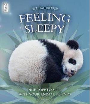 Feeling Sleepy - Andrea Pinnington - Bøger - Fine Feather Press Ltd - 9781908489463 - 15. september 2020