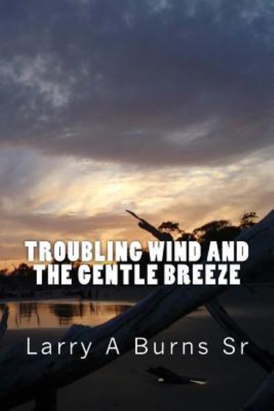 Cover for Larry a Burns Sr · Troubling Wind and the Gentle Breeze (Paperback Book) (2018)