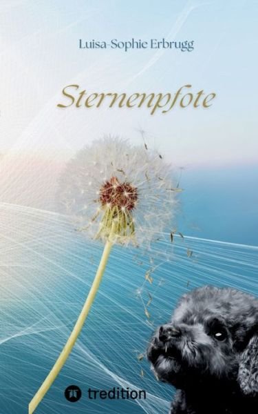 Cover for Luisa-Sophie Erbrugg · Sternenpfote (Paperback Bog) (2022)