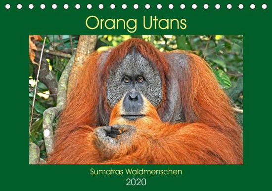 Cover for Edel · Orang Utans Sumatras Waldmenschen (Book)