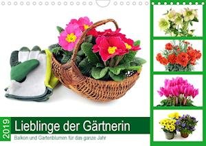 Cover for N · Lieblinge der Gärtnerin - Balkon und (Bok)