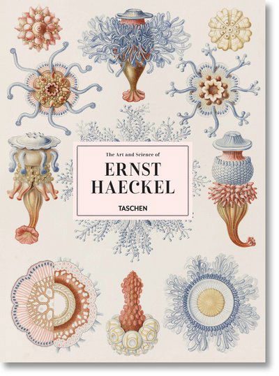 Cover for Julia Voss · The Art and Science of Ernst Haeckel (Inbunden Bok) [Multilingual edition] (2017)