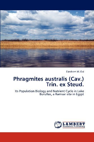 Cover for Ebrahem M. Eid · Phragmites Australis (Cav.) Trin. Ex Steud.: Its Population Biology and Nutrient Cycle in Lake Burullus, a Ramsar Site in Egypt (Taschenbuch) (2012)