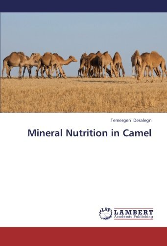 Cover for Temesgen Desalegn · Mineral Nutrition in Camel (Paperback Book) (2012)