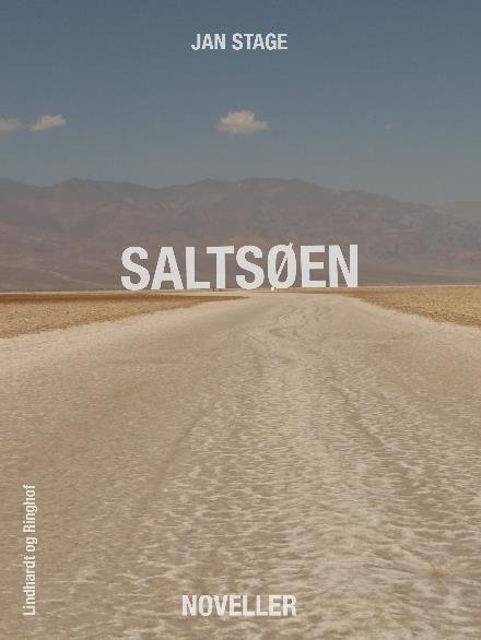 Cover for Jan  Stage · Saltsøen (Sewn Spine Book) [3rd edition] (2017)